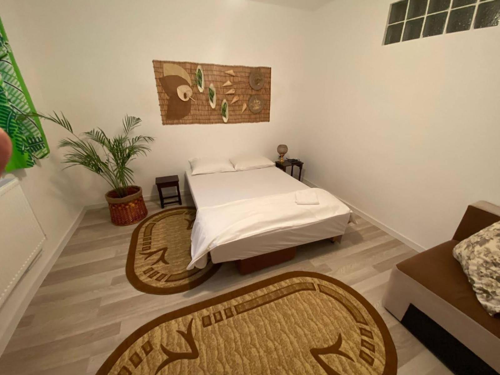Casa Vily 康斯坦察 外观 照片