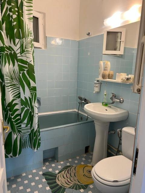Casa Vily 康斯坦察 外观 照片