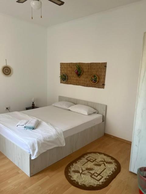 Casa Vily 康斯坦察 外观 照片